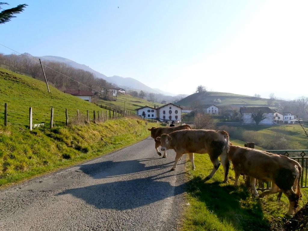 Casa Rural Zigako Etxezuria ภายนอก รูปภาพ